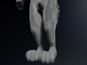 Chris Anthro Lupo Modello 3D