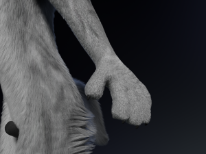Chris Anthro Wolf 3D Model