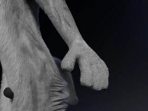 Chris Anthro Lupo Modello 3D