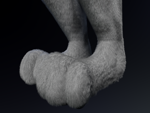Chris Anthro Wolf 3D Model