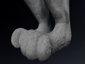 Chris Anthro Lupo Modello 3D