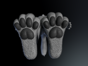 Chris Anthro Wolf 3D Model