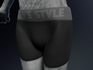 Chris Anthro Wolf 3D Model