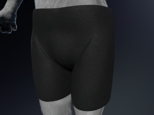 Chris Anthro Wolf 3D Model