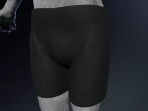 Chris Anthro Lupo Modello 3D