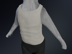 Chris Anthro Wolf 3D Model