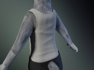 Chris Anthro Wolf 3D Model