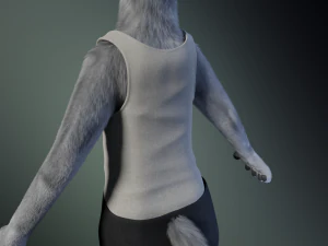 Chris Anthro Lupo Modello 3D