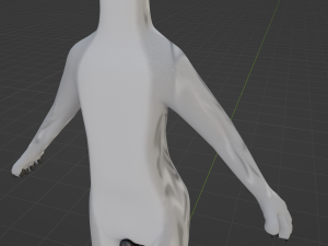 Chris Anthro Wolf 3D Model