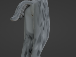 Chris Anthro Wolf 3D Model