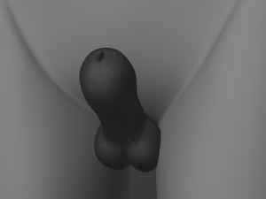 Chris Anthro Wolf 3D Model