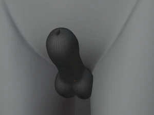 Chris Anthro Lupo Modello 3D