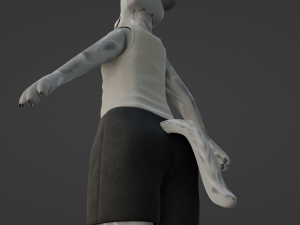 Chris Anthro Wolf 3D Model
