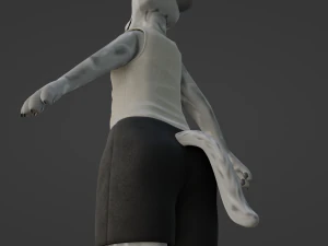 Chris Anthro Lupo Modello 3D