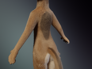 Jacob Anthro Wolf Modelo 3D