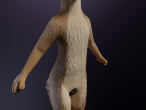 Jacob Anthro Wolf Modelo 3D