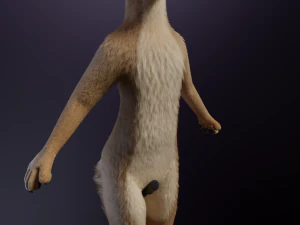 Jacob Antro Lobo Modelo 3D