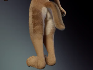 Jacob Antro Lobo Modelo 3D