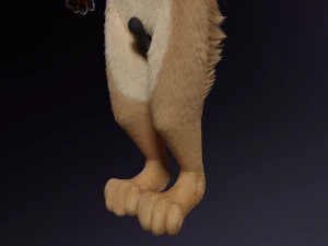 Jacob Antro Lobo Modelo 3D