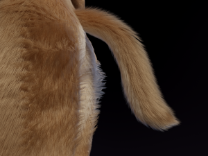 Jacob Anthro Wolf Modelo 3D