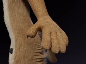 Jacob Antro Lobo Modelo 3D