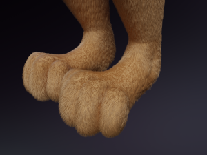 Jacob Anthro Wolf Modelo 3D