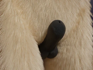 Jacob Antro Lobo Modelo 3D