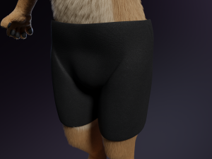 Jacob Anthro Wolf Modelo 3D