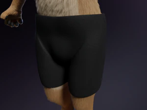 Jacob Antro Lobo Modelo 3D