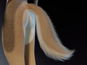 Athena Anthro Fox 3D 모델