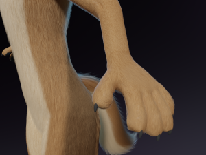 Athena Anthro Fox 3D 모델