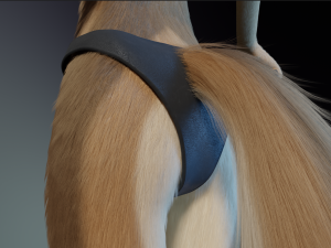 Athena Anthro Fox 3D 모델