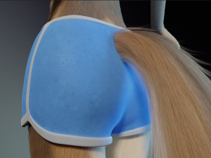 Athena Anthro Fox 3D 모델