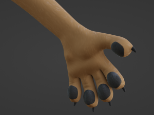 Athena Anthro Fox 3D 모델