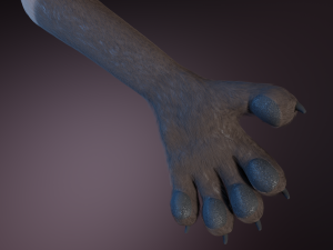 Saphire Anthro Fox 3Dモデル