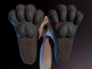 Saphire Anthro Fox 3Dモデル
