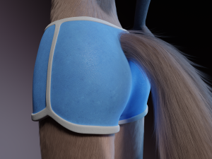 Saphire Anthro Fox 3Dモデル
