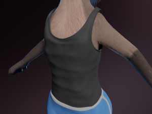 Saphire Anthro Fox 3Dモデル