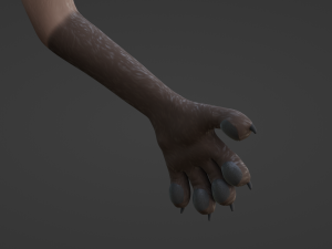 Saphire Anthro Fox 3Dモデル