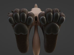 Saphire Anthro Fox Modello 3D