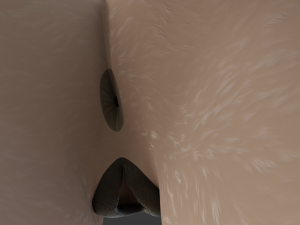Saphire Anthro Fox 3Dモデル