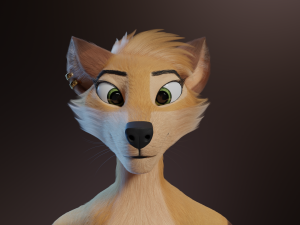 Catalina Anthro Fox Modèle 3D