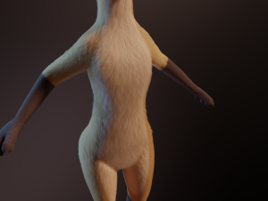 Catalina Anthro Fox Modèle 3D