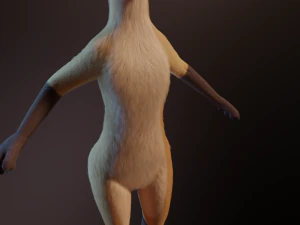 Catalina Anthro Fox 3D Model