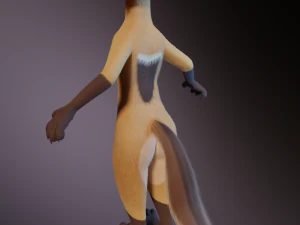 Catalina Anthro Fox 3D Model