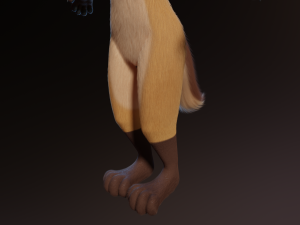 Catalina Anthro Fox Modèle 3D