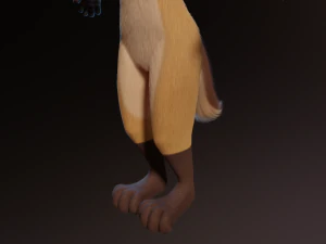 Catalina Anthro Fox 3D Model