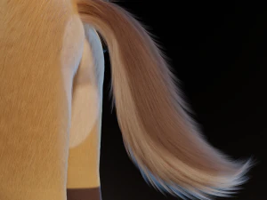Catalina Anthro Fox 3D Model