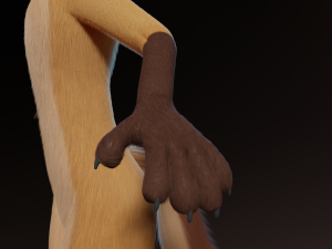 Catalina Anthro Fox Modèle 3D