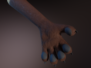 Catalina Anthro Fox Modèle 3D